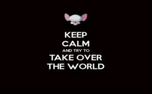 pinky and the brain keep calm and 1280x800 wallpaper_www.wallpapername.com_90